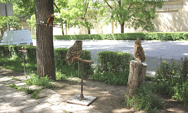 151-Улица Ленина